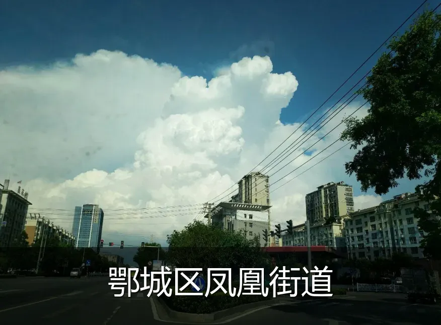 鄂城区凤凰街道