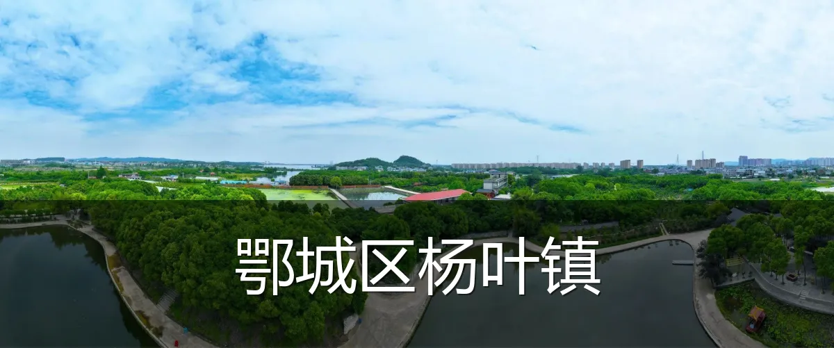鄂城区杨叶镇